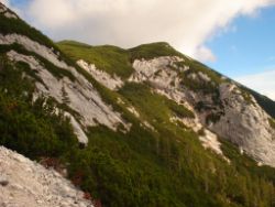 2013-10-08_Guffert (070).JPG